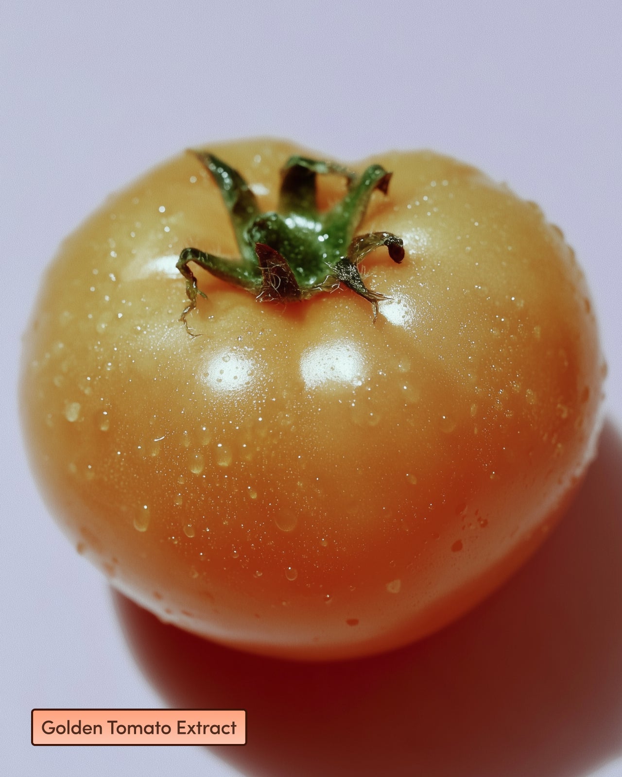 Sun Daughter Botanical Beauty Supplement