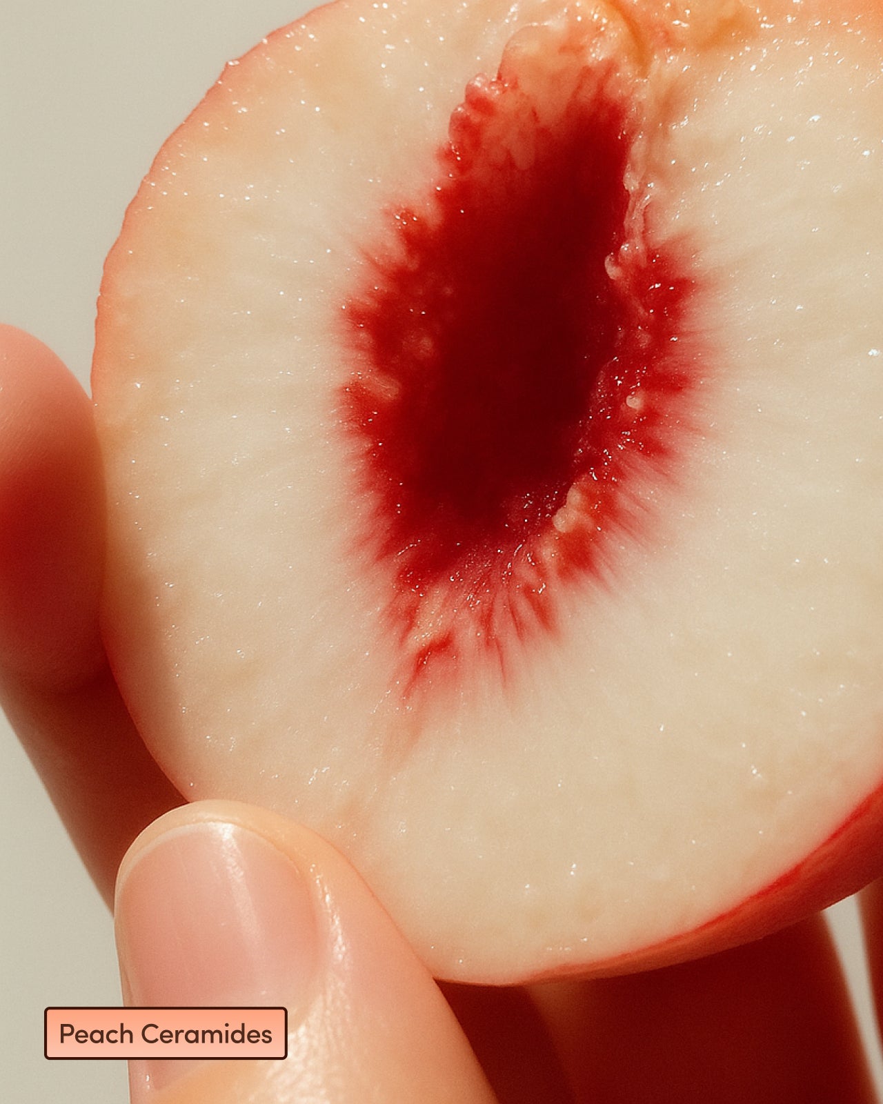 Sun Daughter Botanical Beauty Supplement