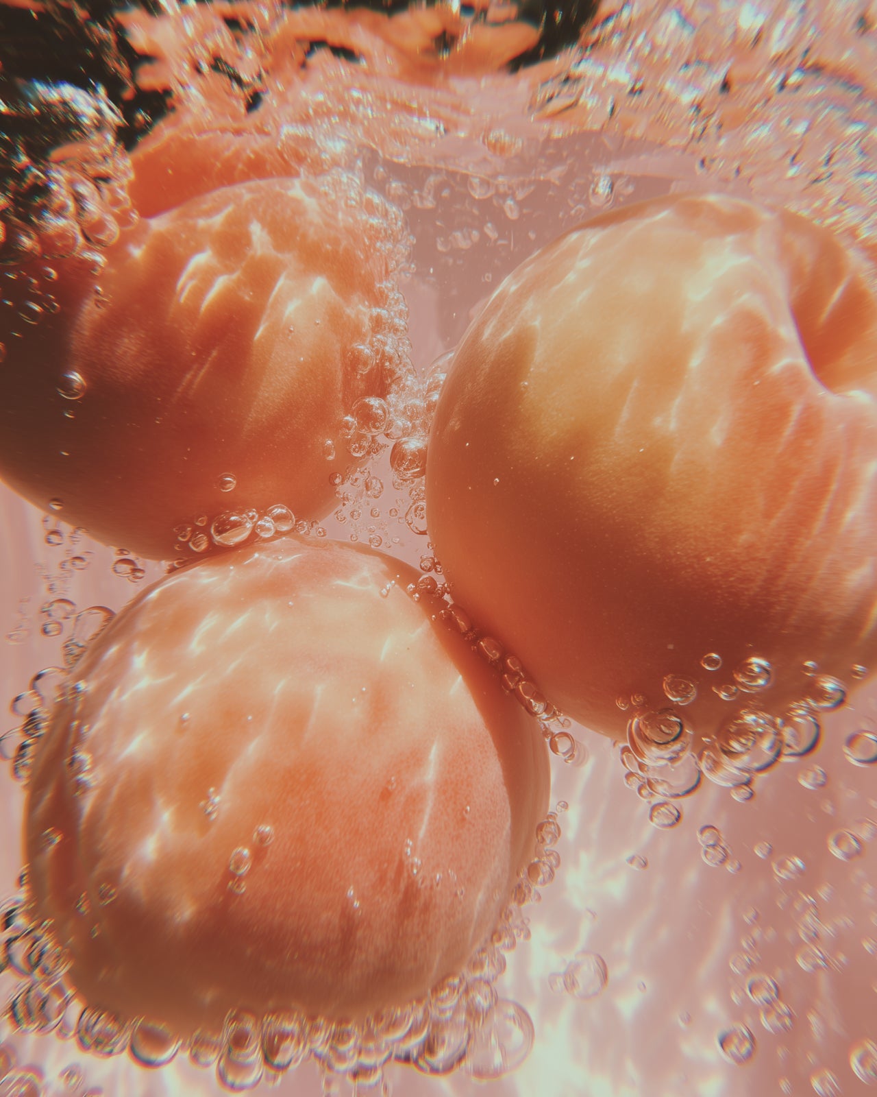 Sun Daughter Botanical Beauty Supplement